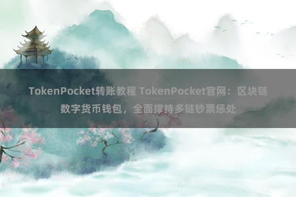 TokenPocket转账教程 TokenPocket官网：区块链数字货币钱包，全面撑持多链钞票惩处