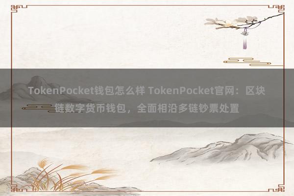 TokenPocket钱包怎么样 TokenPocket官网：区块链数字货币钱包，全面相沿多链钞票处置